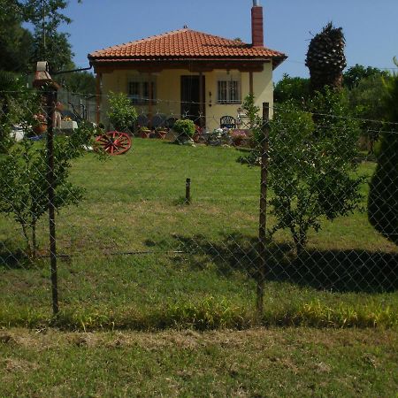 Xerxis Hill/Chalkidiki Τρυπητή Χαλκιδικής Βίλα Νέα Ρόδα Εξωτερικό φωτογραφία