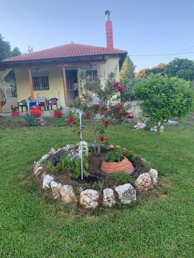 Xerxis Hill/Chalkidiki Τρυπητή Χαλκιδικής Βίλα Νέα Ρόδα Εξωτερικό φωτογραφία
