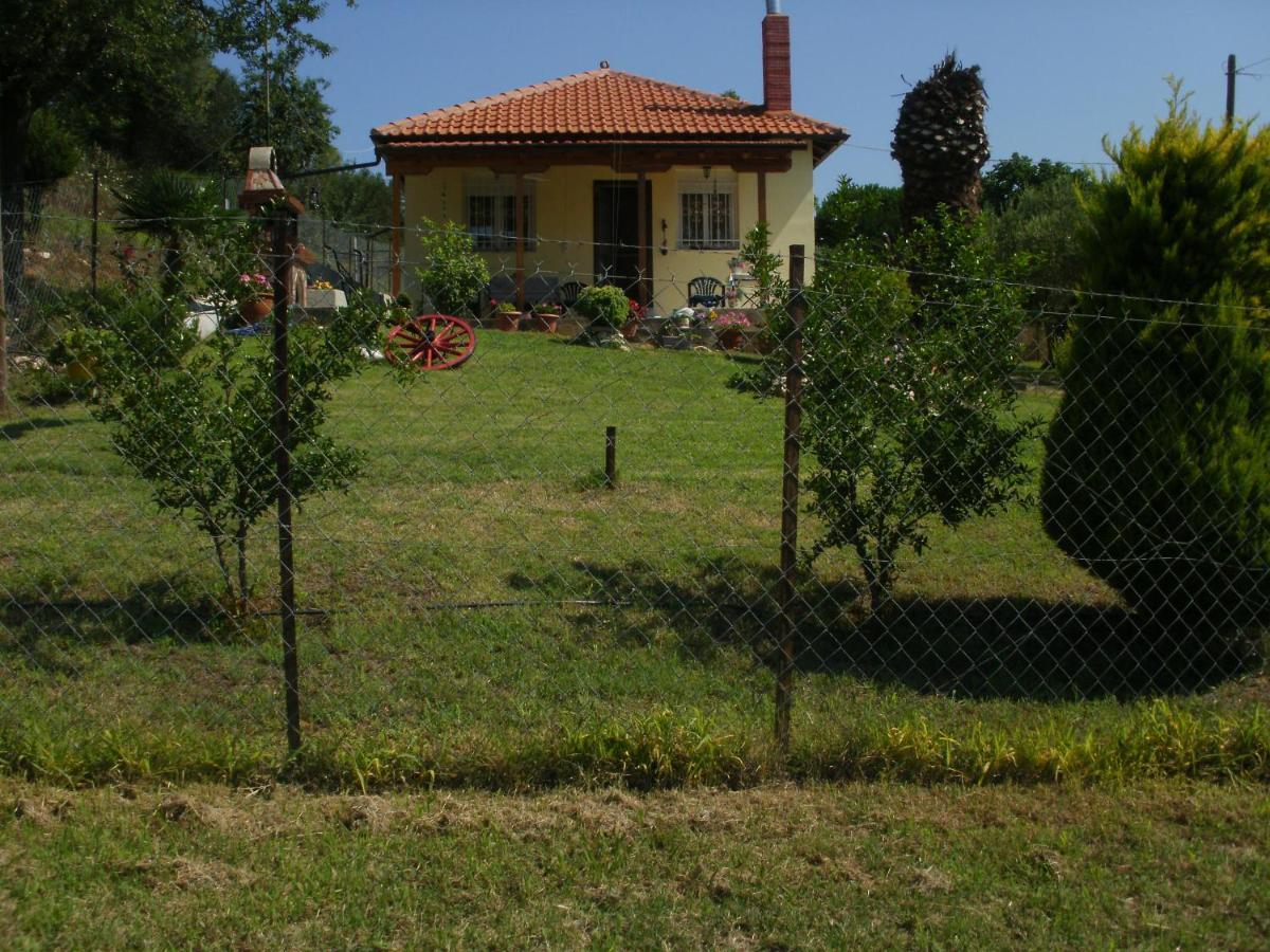 Xerxis Hill/Chalkidiki Τρυπητή Χαλκιδικής Βίλα Νέα Ρόδα Εξωτερικό φωτογραφία